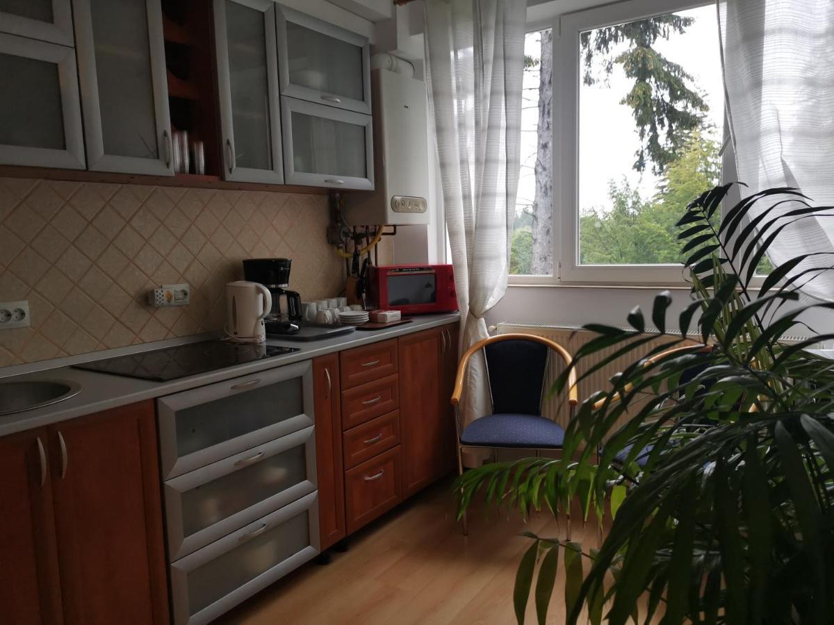 Apartament Ana Poiana Brasov Διαμέρισμα Εξωτερικό φωτογραφία