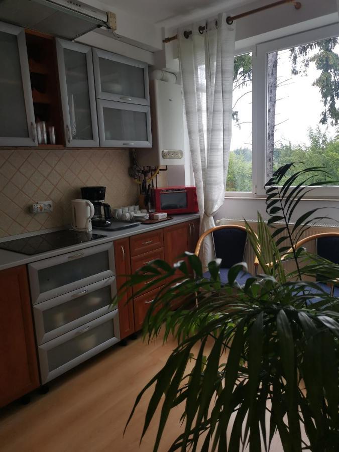 Apartament Ana Poiana Brasov Διαμέρισμα Εξωτερικό φωτογραφία