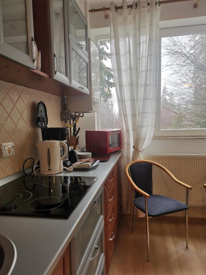 Apartament Ana Poiana Brasov Διαμέρισμα Εξωτερικό φωτογραφία